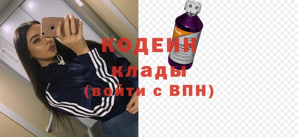 стаф Верея