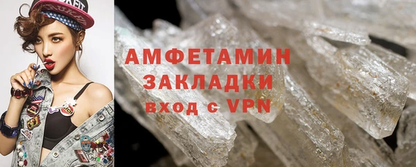 индика Болотное
